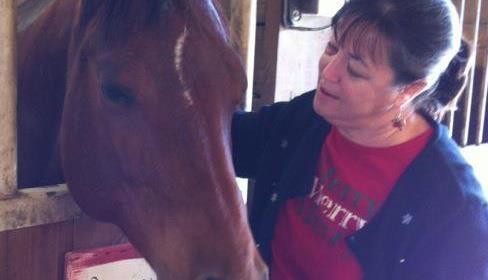 Building Trust (a fresh lesson from the stable)